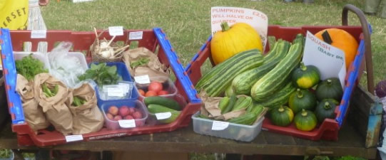 Fresh Seasonal Vegetables grown Using Organic methods